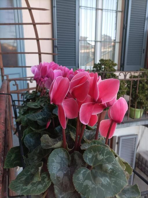 Pane E Tulipani, Cozy Apartment Near City Center Turín Exterior foto